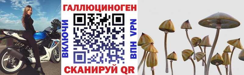 Псилоцибиновые грибы мицелий  Дубна 