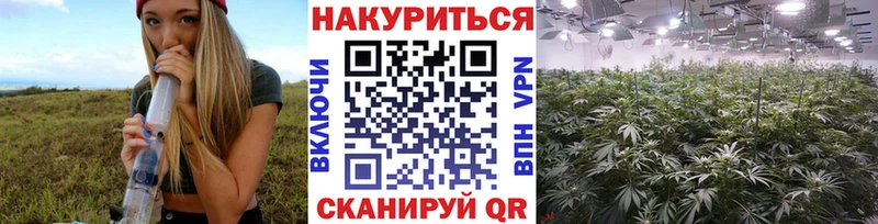 Шишки марихуана сатива  купить наркоту  Дубна 